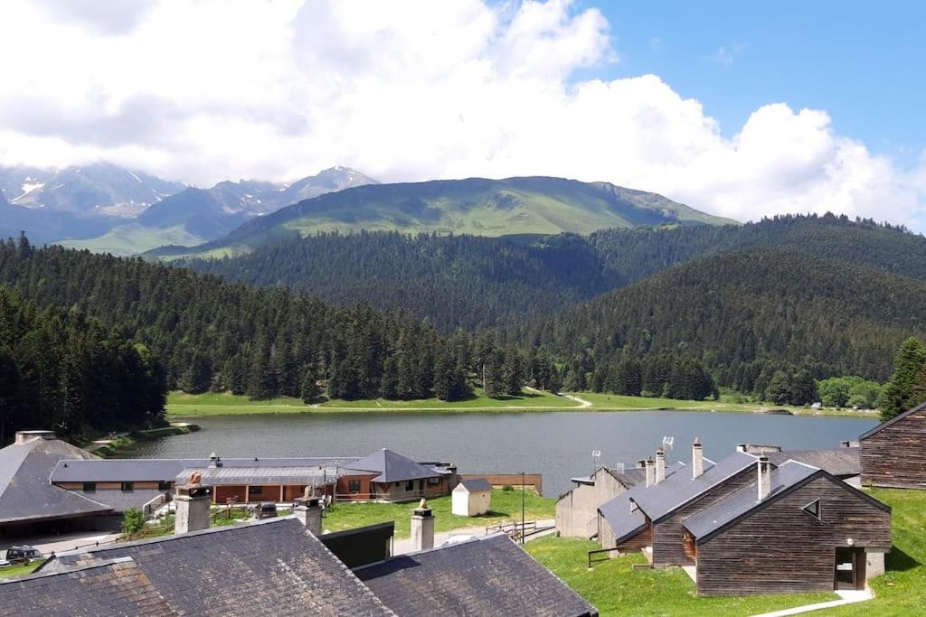 La Cabane Du Cerf A Payolle Campan Exteriér fotografie