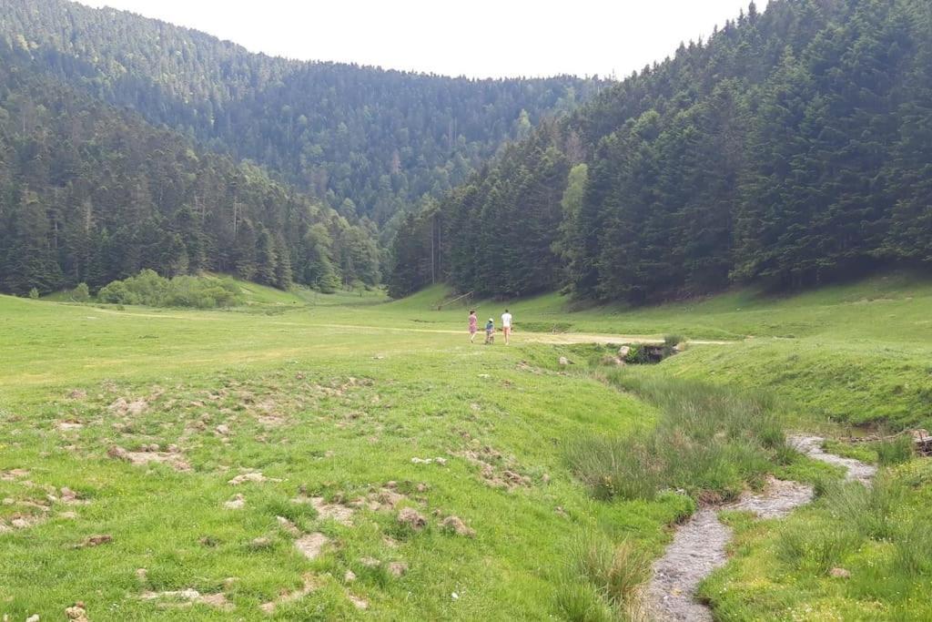 La Cabane Du Cerf A Payolle Campan Exteriér fotografie